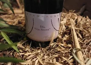 Françoise Bedel  | Dis, vin secret