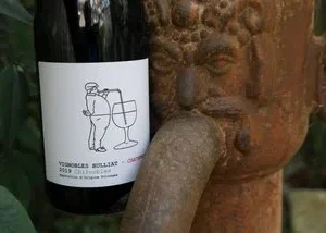 Domaine Bulliat  | Chiroubles | Chatenay