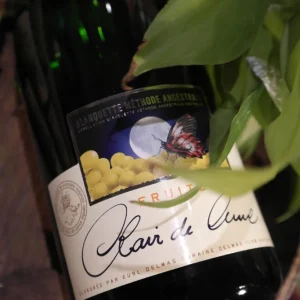 Domaine Delmas | Clair de lune