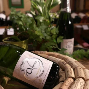 Domaine Delmas | Tradition