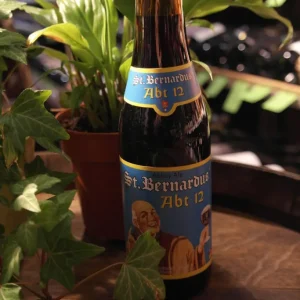 Abbaye Saint-Bernardus | Abt 12