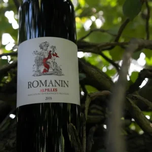 Château Romanin | Alpilles rouge