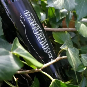 Domaine du Champs des soeurs | La Jarre