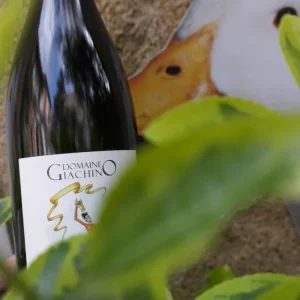 Domaine Giacchino | Altesse