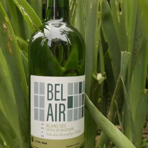 Bel Air | Côtes de Gascogne | Vin Blanc Sec