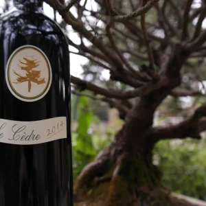 Château du Cèdre | Le Cèdre 2014