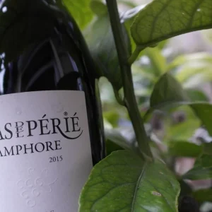 Màs del Périé  | Amphore