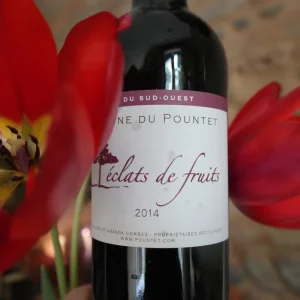 Domaine du Pountet  | Eclats de fruits