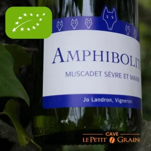 Domaine Jo Landron  | Amphibolite nature