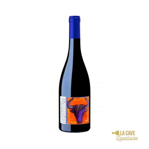 MAGNUM Domaine d&rsquo;Andézon – Côtes-du-Rhône-Villages – Signargues 1.5L