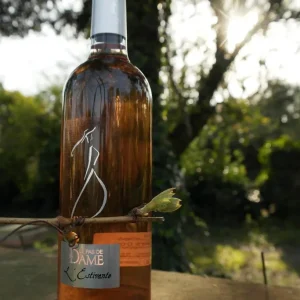 Domaine du Pas de la dame | rosé