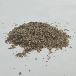 Menthe pouliot – Plante en vrac – Herboristerie du Dr. Sammut